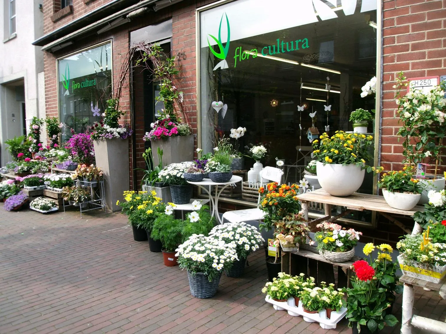 Flora Cultura - Bild